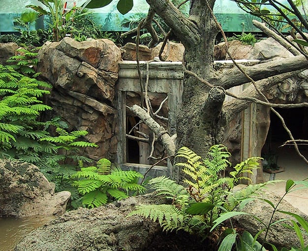 Natural Habitat Construction at Voyage to Australia and the Islands