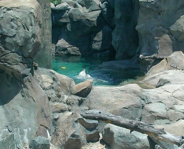 Zoological Construction Recreating a Natural Habitat