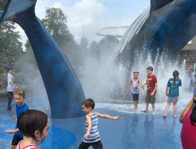 interactive show fountains