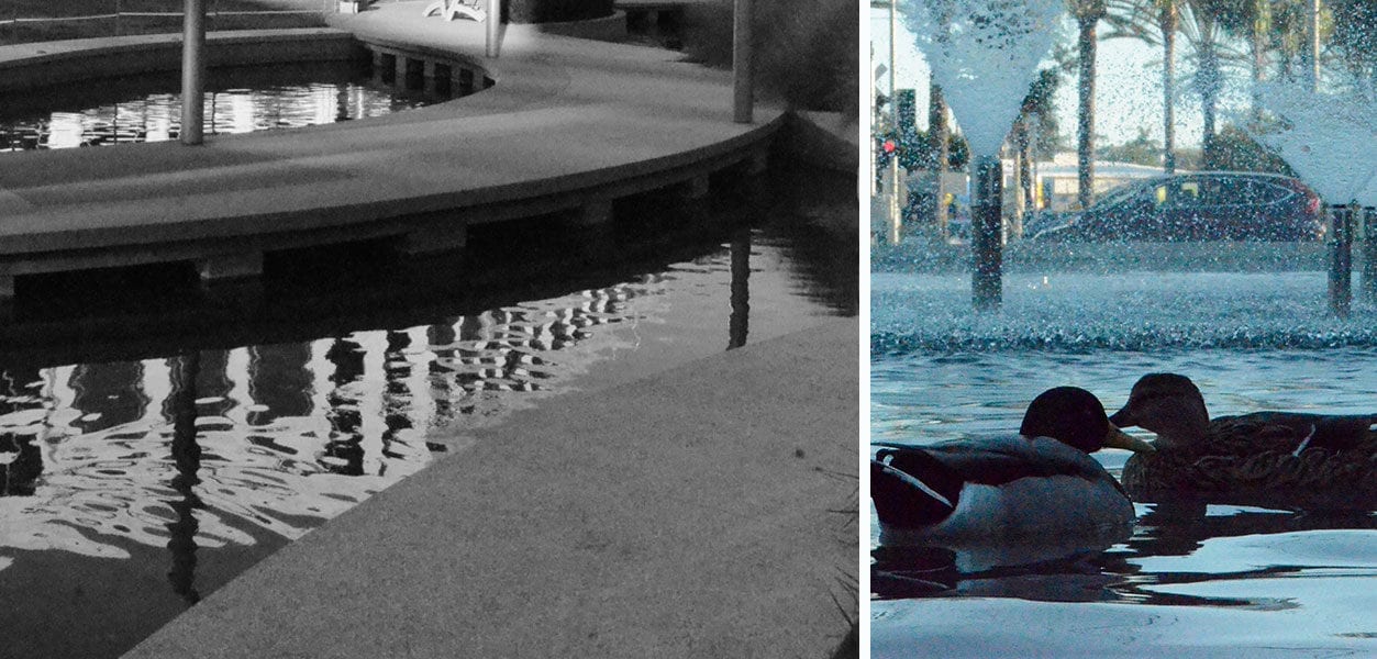 Santa Monica Water garden