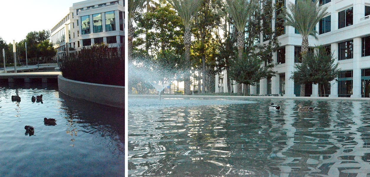 Santa Monica Water Feature